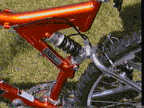 rearshock.gif (31182 bytes)